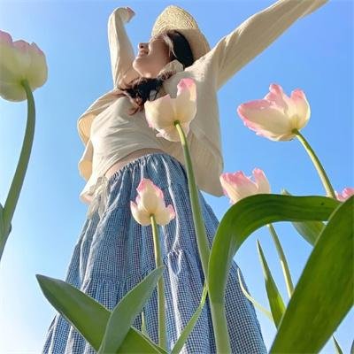 霸海英豪